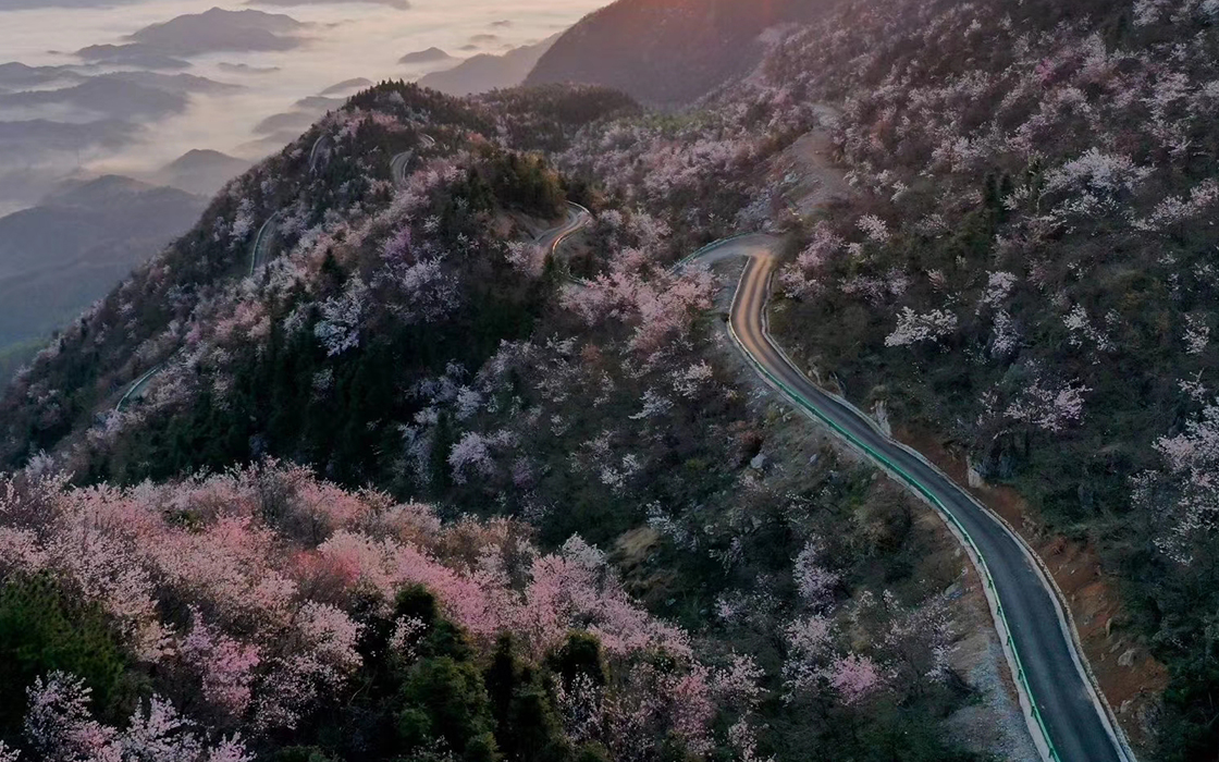 ��ʱK66��(�й�)���Źٷ���վ