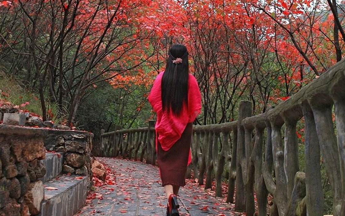 ��ʱK66��(�й�)���Źٷ���վ