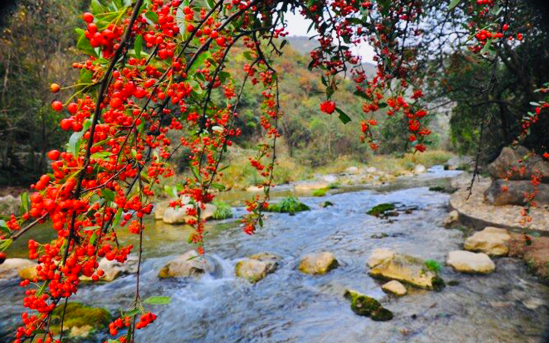 ��ʱK66��(�й�)���Źٷ���վ