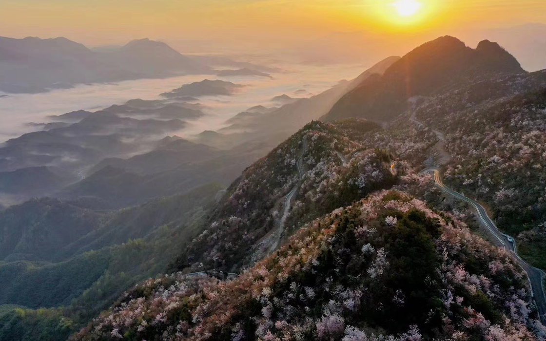 ��ʱK66��(�й�)���Źٷ���վ