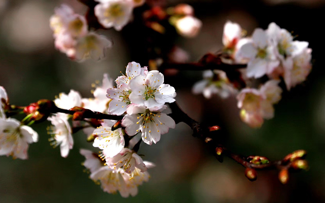 ��ʱK66��(�й�)���Źٷ���վ