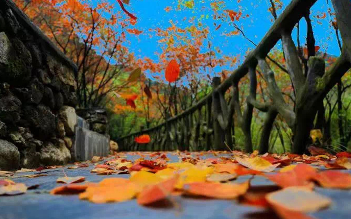 ��ʱK66��(�й�)���Źٷ���վ