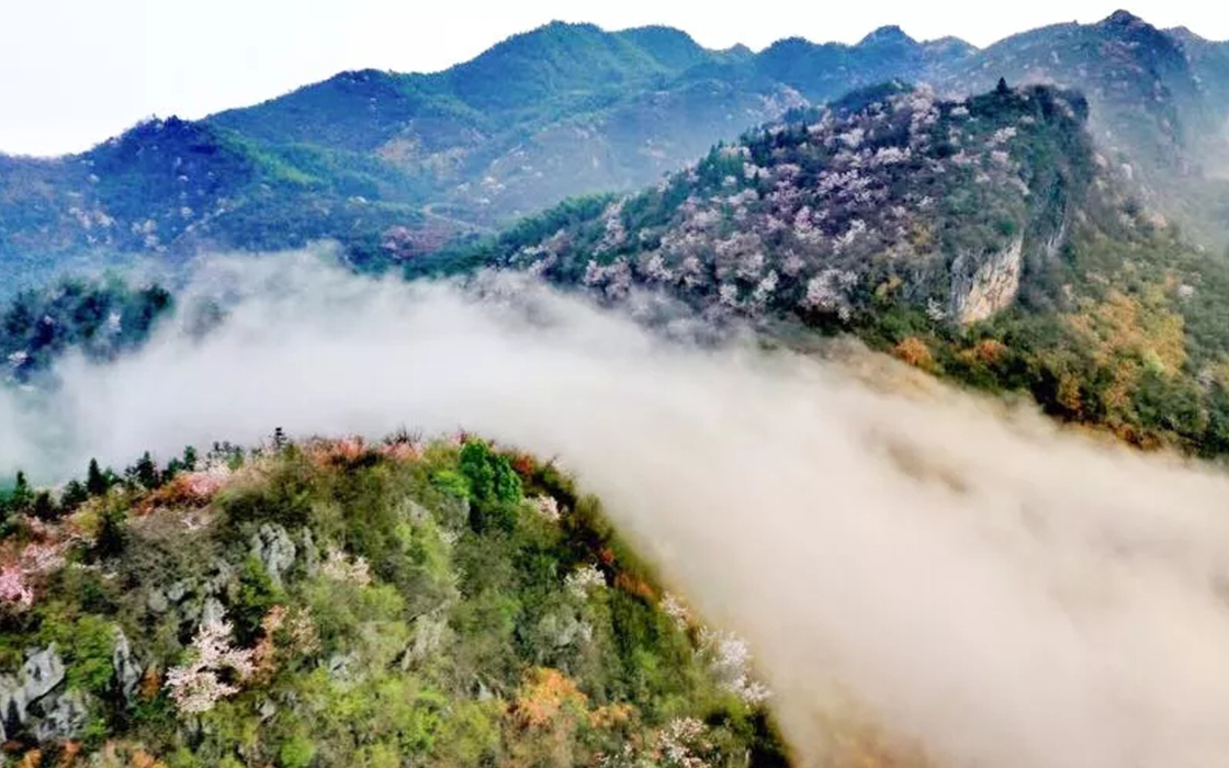 ��ʱK66��(�й�)���Źٷ���վ