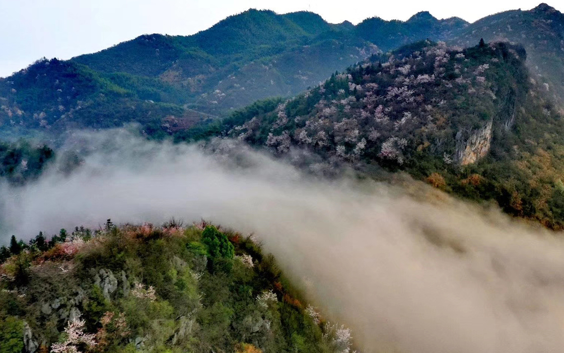 ��ʱK66��(�й�)���Źٷ���վ