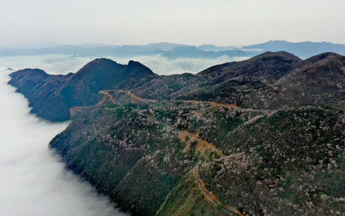 ��ʱK66��(�й�)���Źٷ���վ