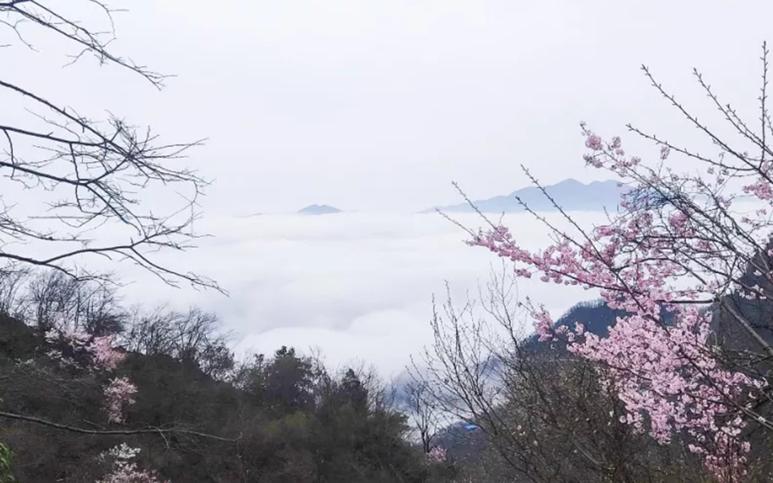 ��ʱK66��(�й�)���Źٷ���վ