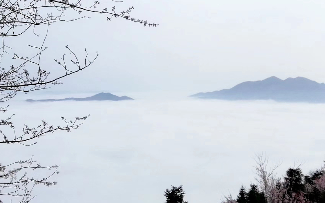 ��ʱK66��(�й�)���Źٷ���վ