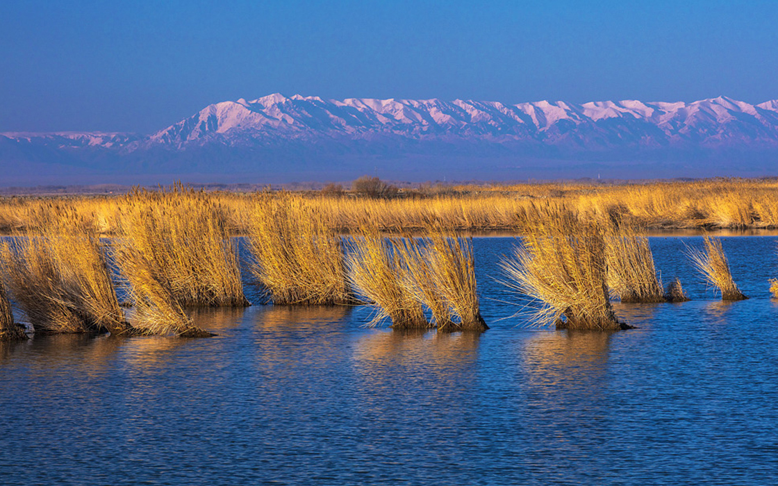 ��ʱK66��(�й�)���Źٷ���վ