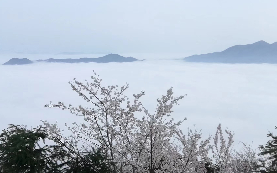 ��ʱK66��(�й�)���Źٷ���վ