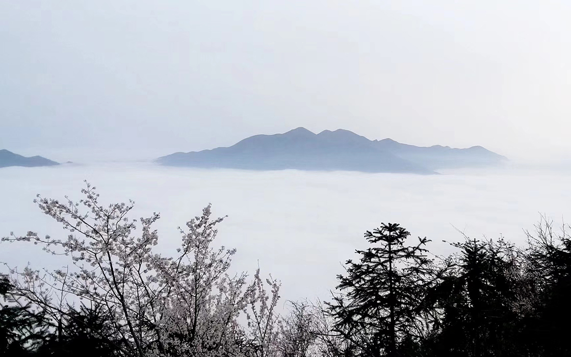 ��ʱK66��(�й�)���Źٷ���վ