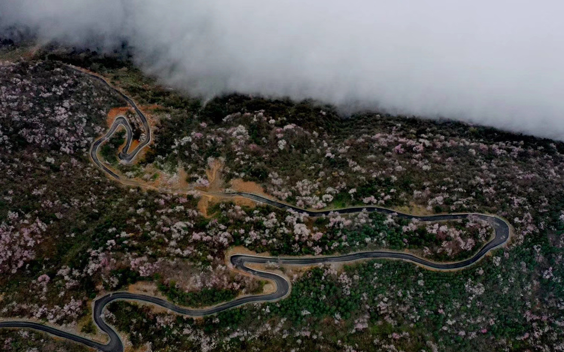 ��ʱK66��(�й�)���Źٷ���վ