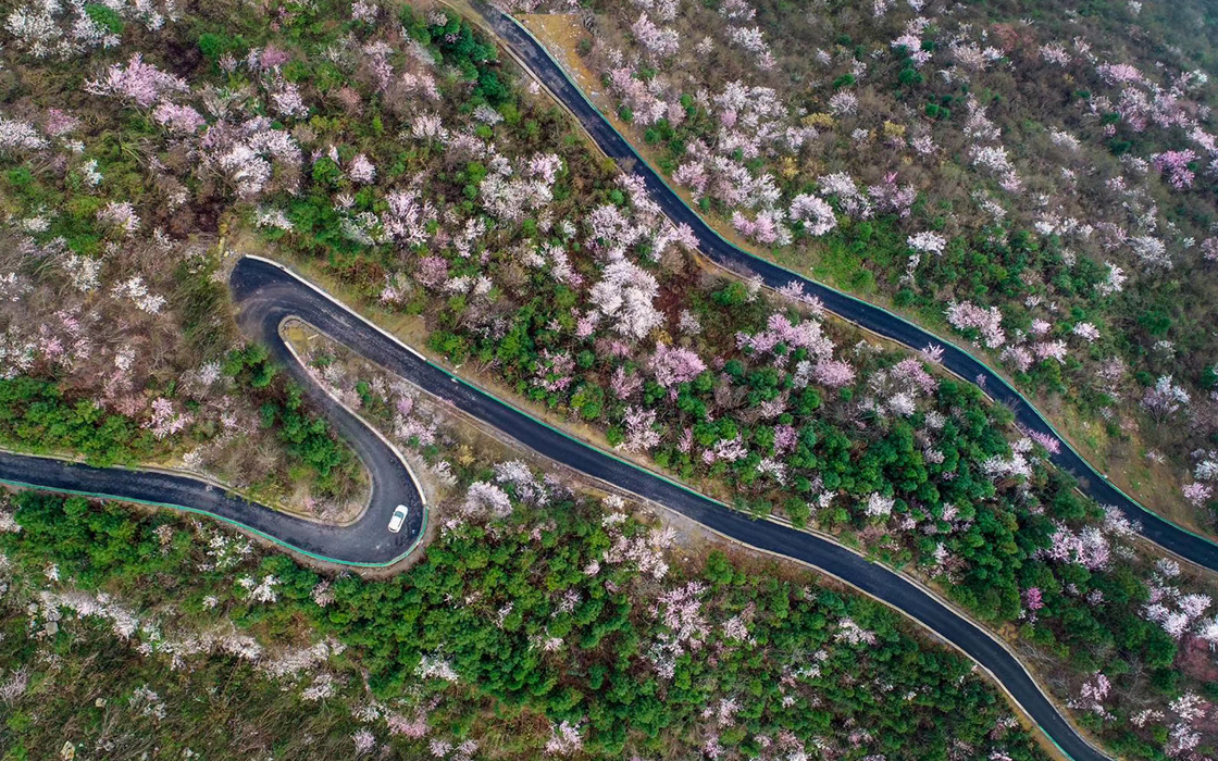 ��ʱK66��(�й�)���Źٷ���վ