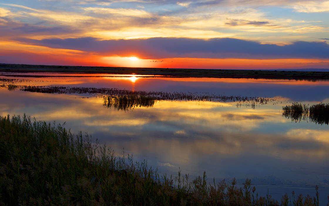 ��ʱK66��(�й�)���Źٷ���վ