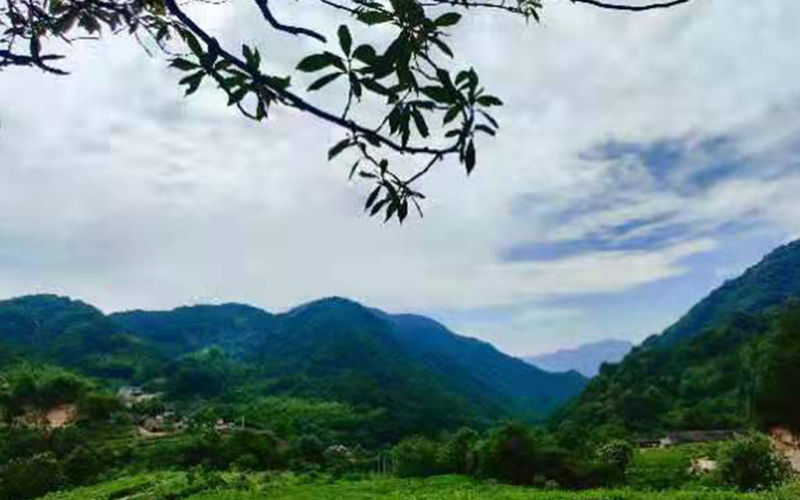 ��ʱK66��(�й�)���Źٷ���վ