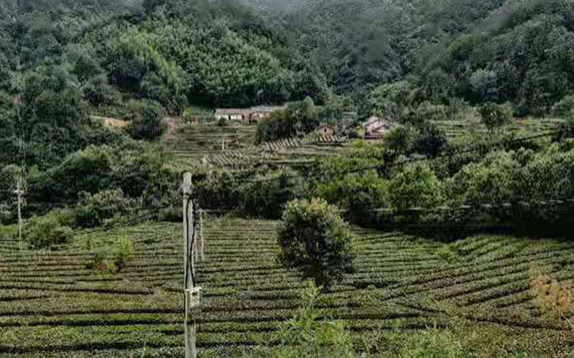 ��ʱK66��(�й�)���Źٷ���վ