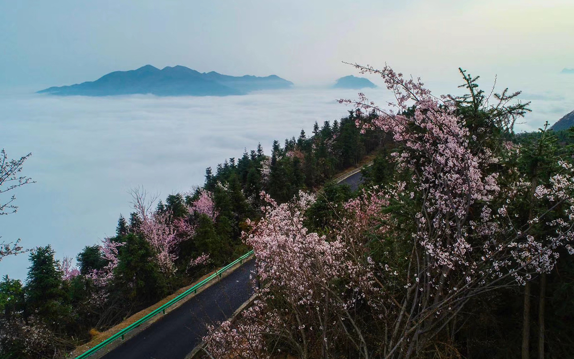 ��ʱK66��(�й�)���Źٷ���վ