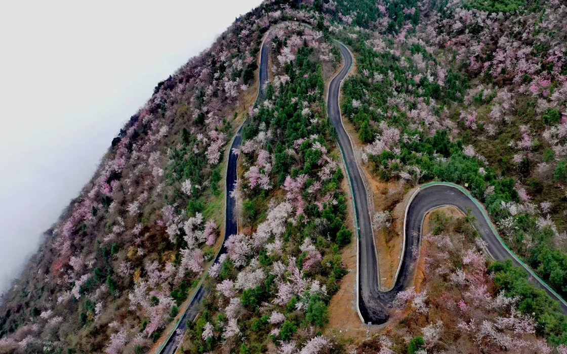 ��ʱK66��(�й�)���Źٷ���վ