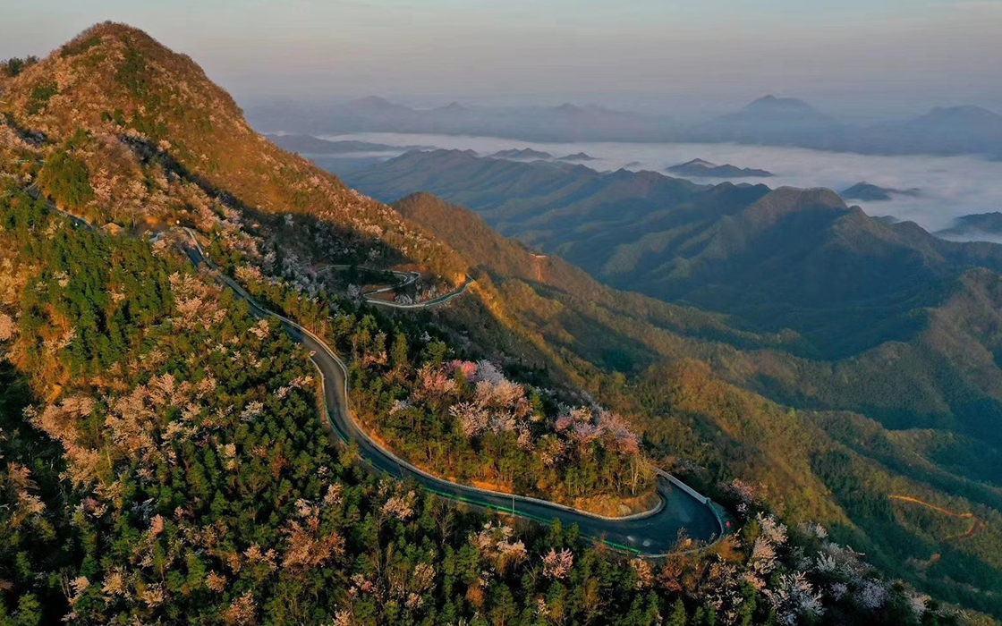 ��ʱK66��(�й�)���Źٷ���վ