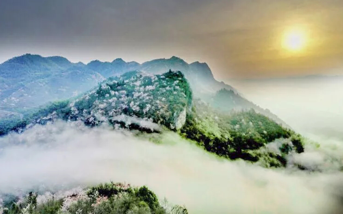 ������ʱK66���ų������ο������޹�˾